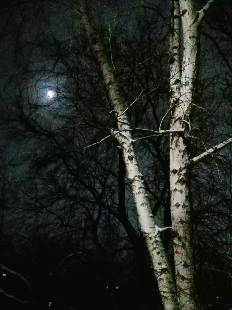 Полнолуние из моего окна