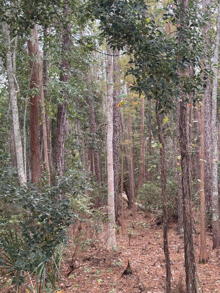 Photograph by Mariia Kirillova