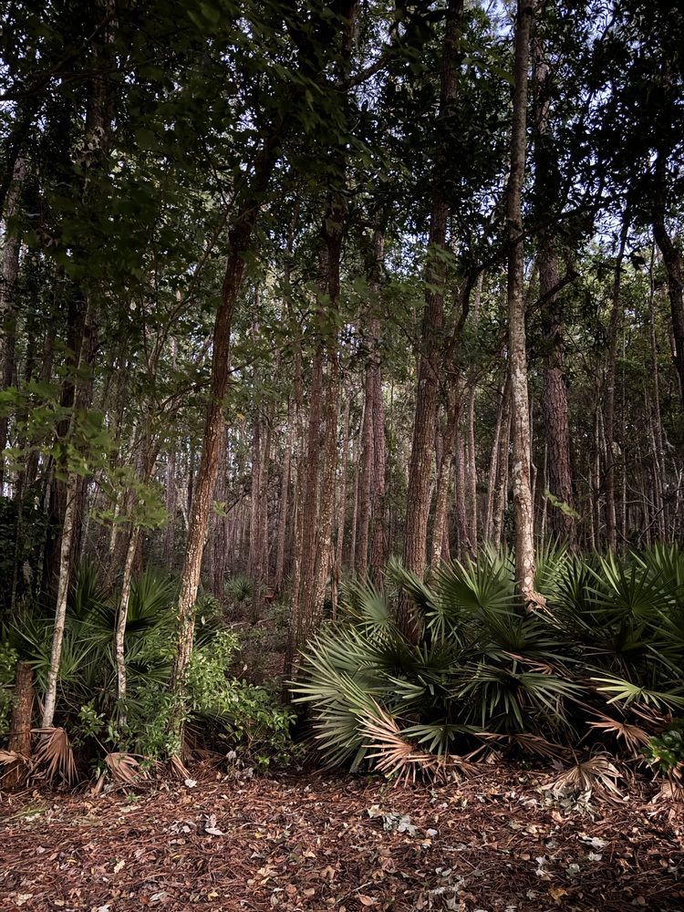 Photograph by Mariia Kirillova