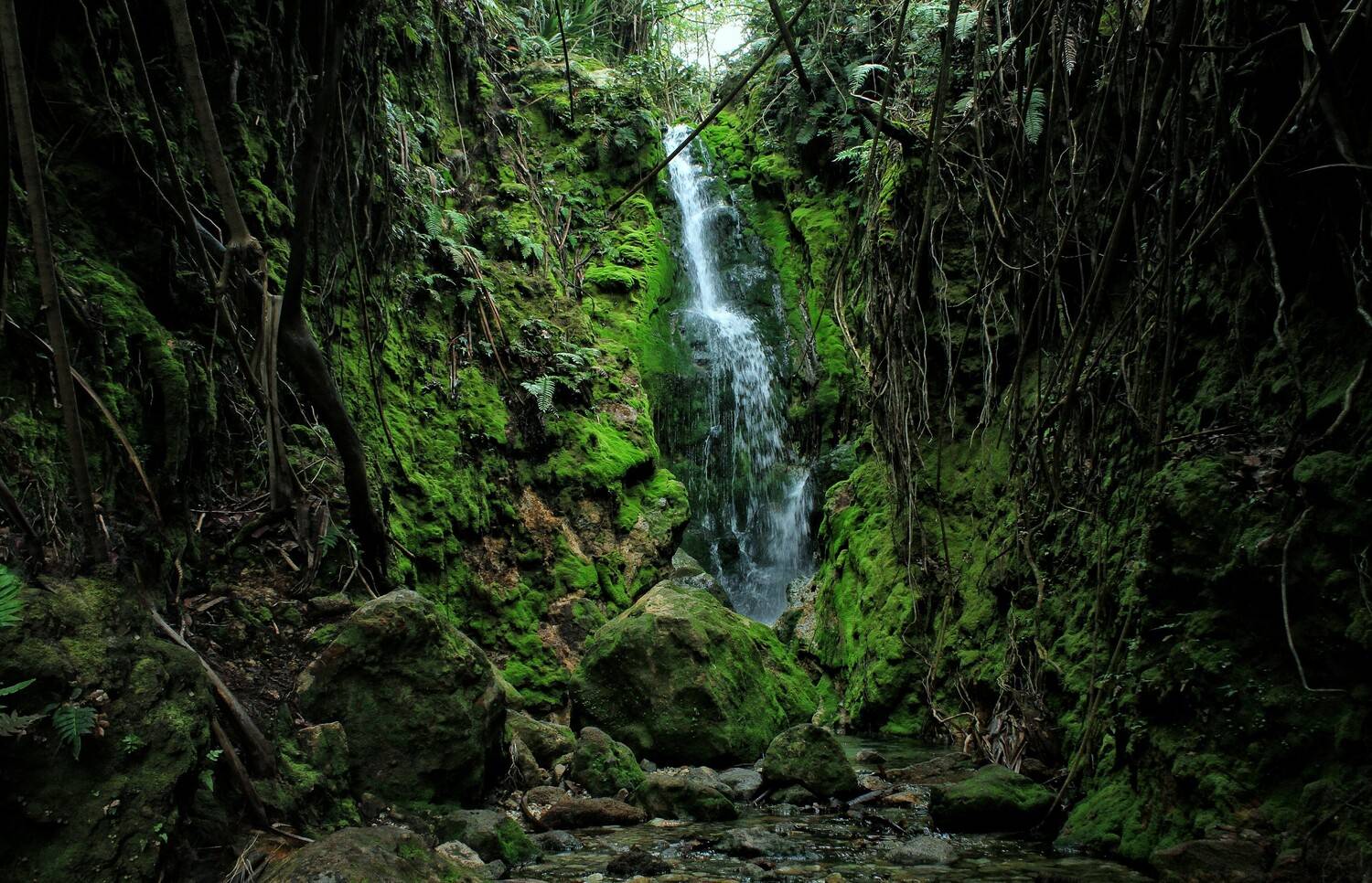 natural place