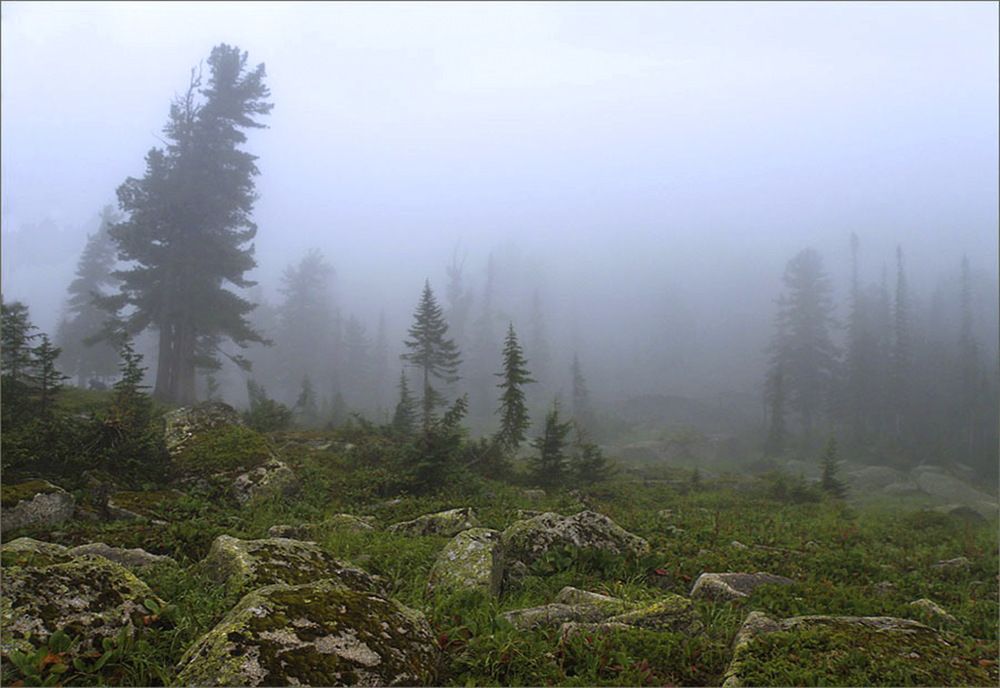 Photograph by Александр Клейд