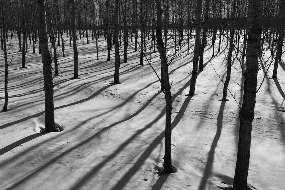 Photograph by Chen Chen