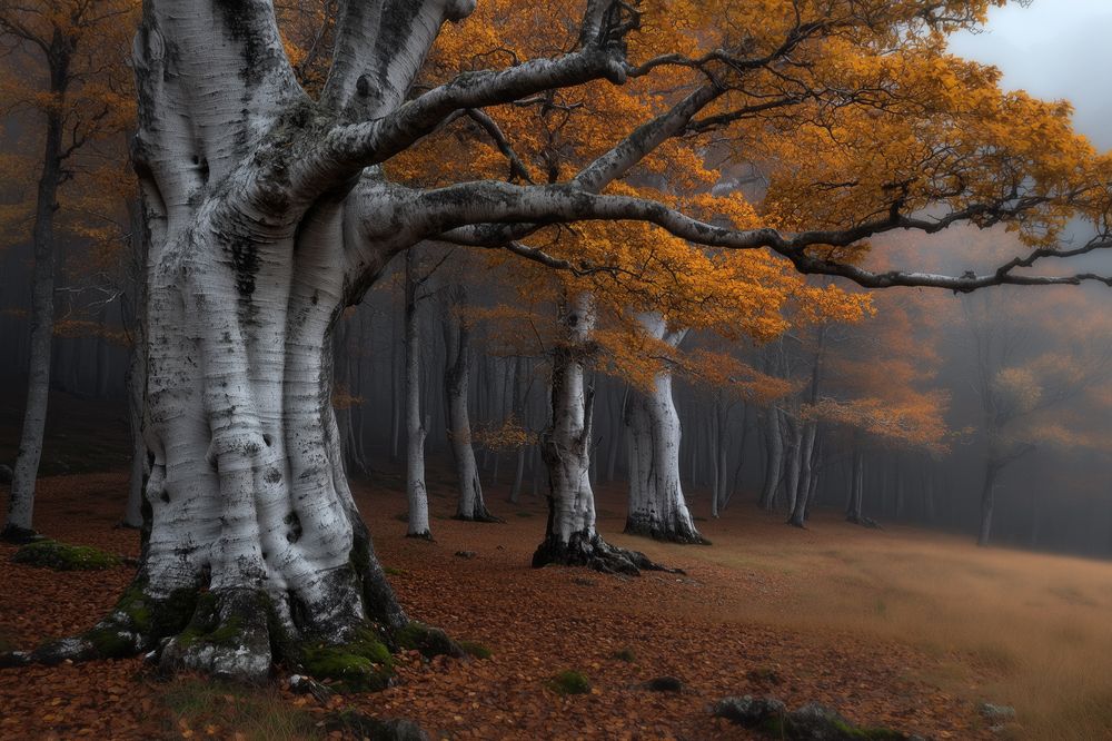 Photograph by Марков Алексей