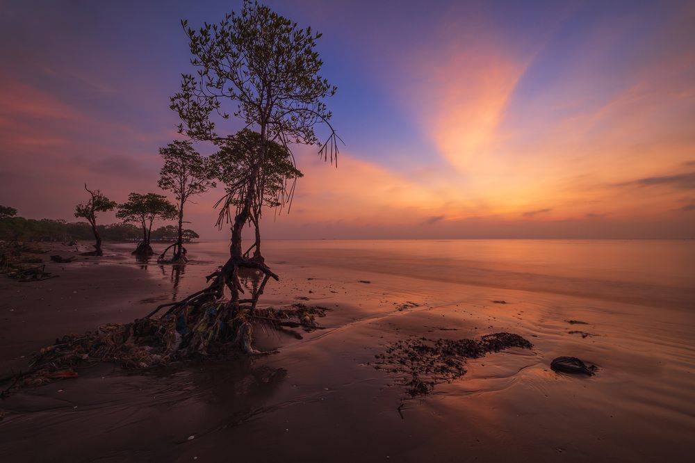 Photograph by Minh Anh