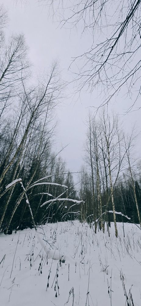 Photograph by Семёновых Александр