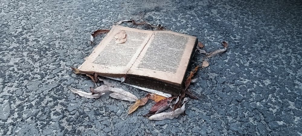 Photograph by Шеин андрей