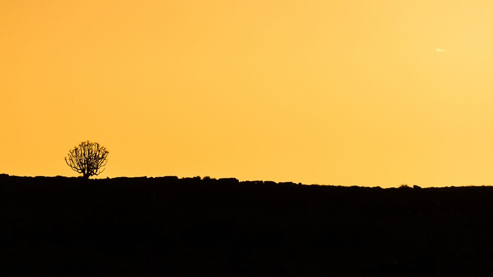 Photograph by Sergey Nikolenko