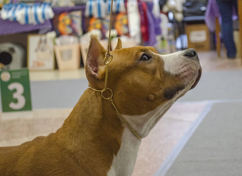 Photograph by Любовь Бусова