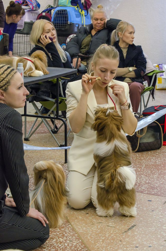 Photograph by Любовь Бусова