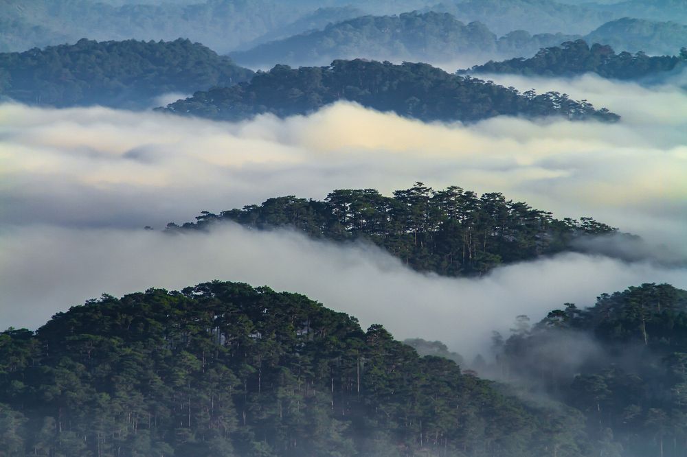 Фотография автора Dinh lh