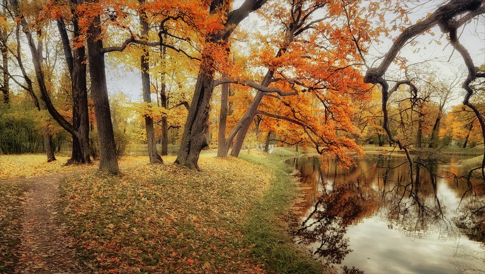 Photograph by Игорь Майоров