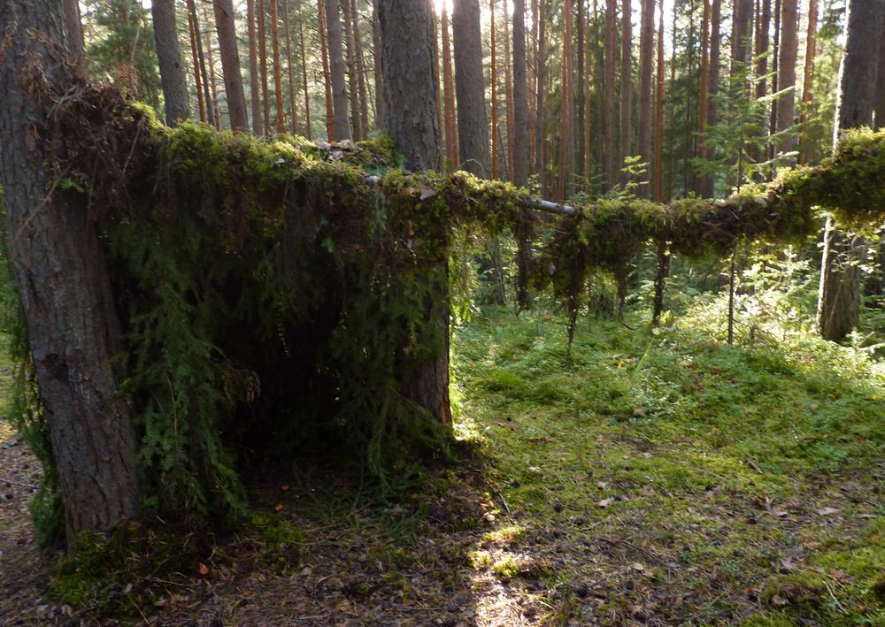 Photograph by Валерий Алфимов