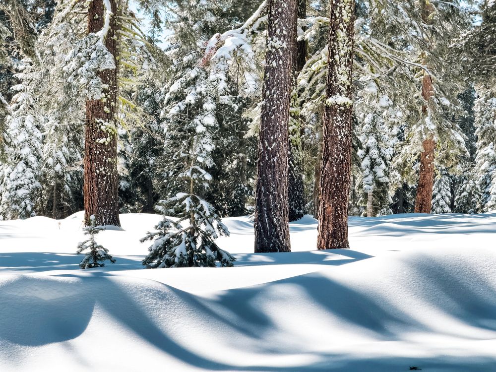 Фотография автора Andrey Pereverzev