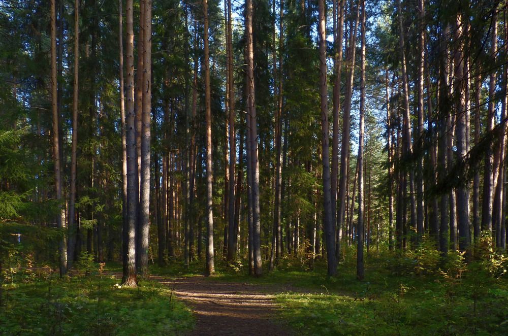 Photograph by Валерий Алфимов