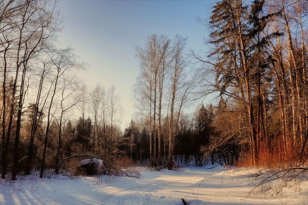 Photograph by Игорь Майоров