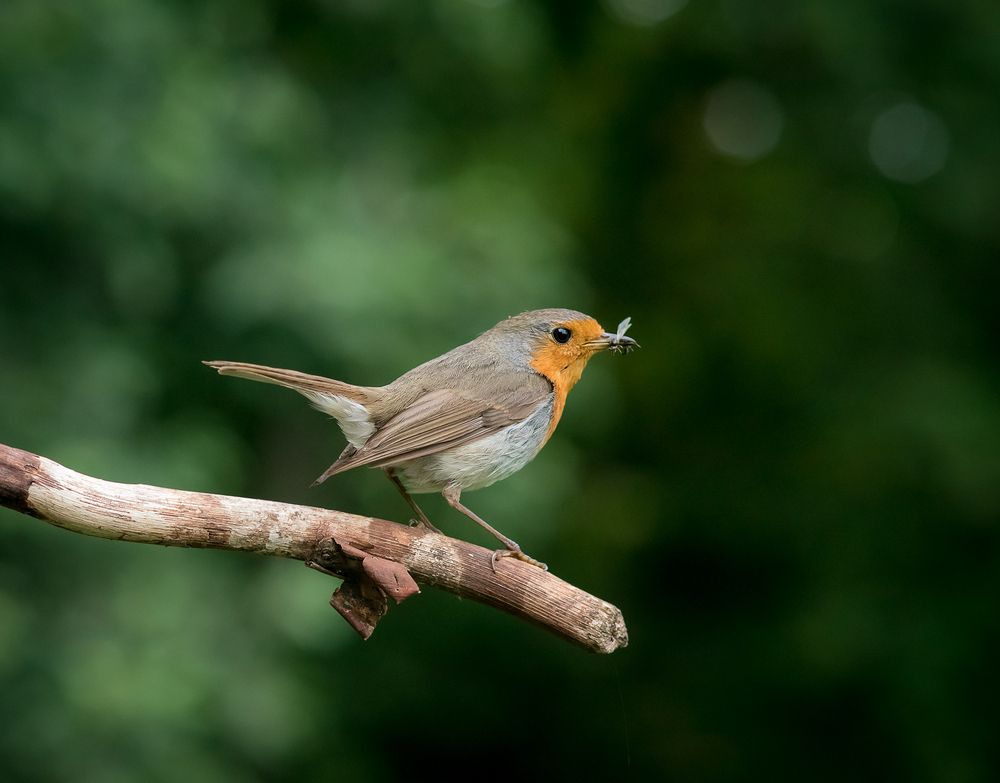 Photograph by Алексей Юденков