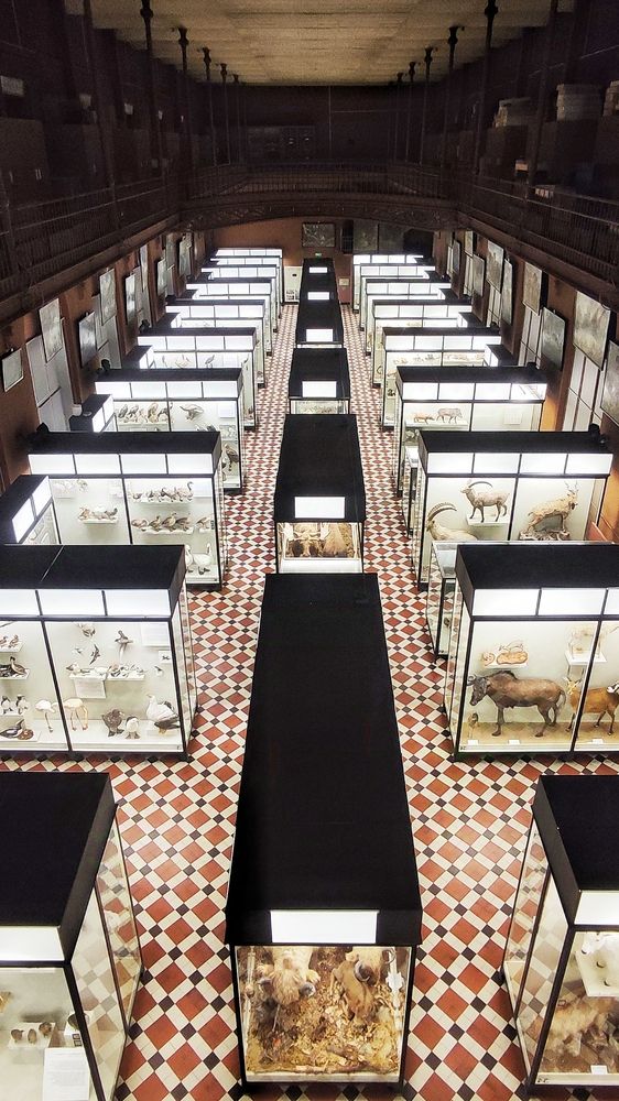 Фотография автора Елена Кириллова