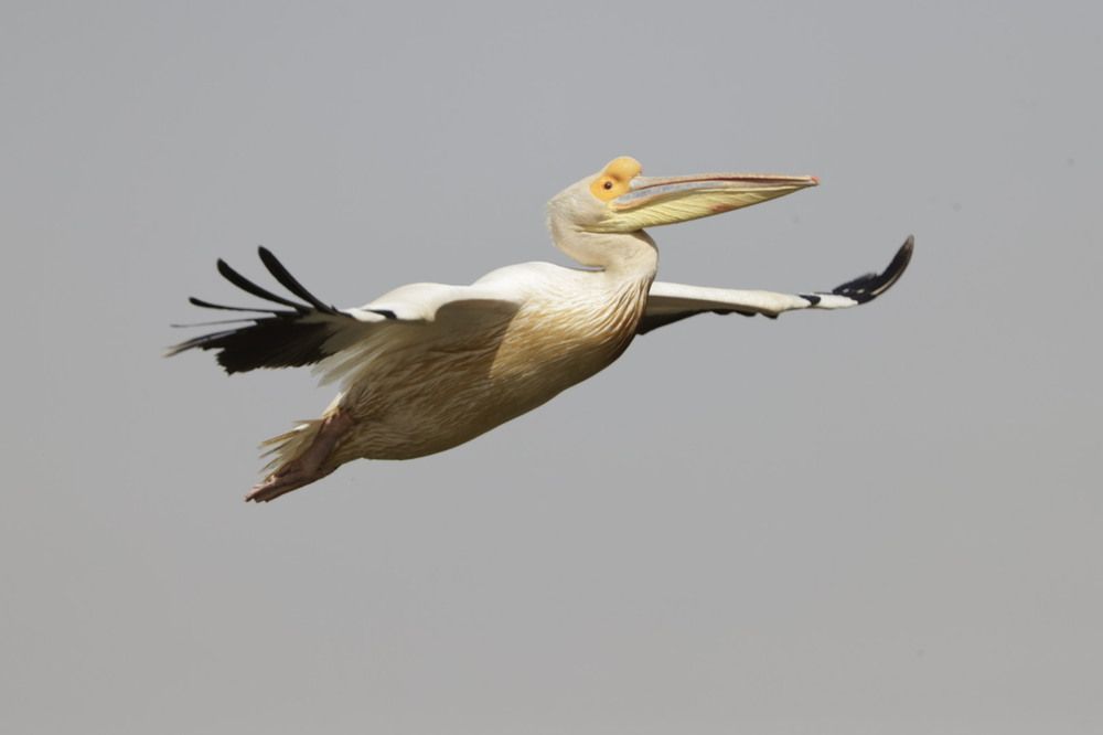 Photograph by Tatiana KURAKOVA