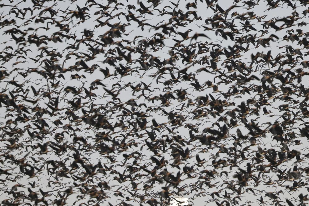 Photograph by Tatiana KURAKOVA