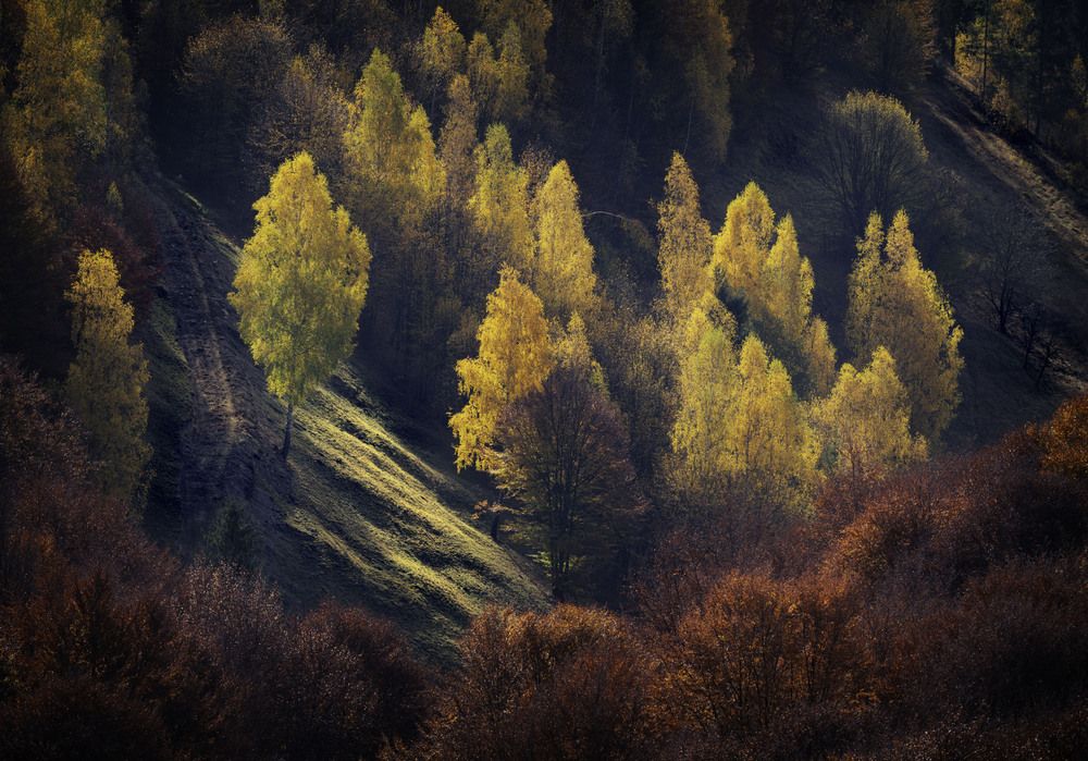 Калейдоскоп