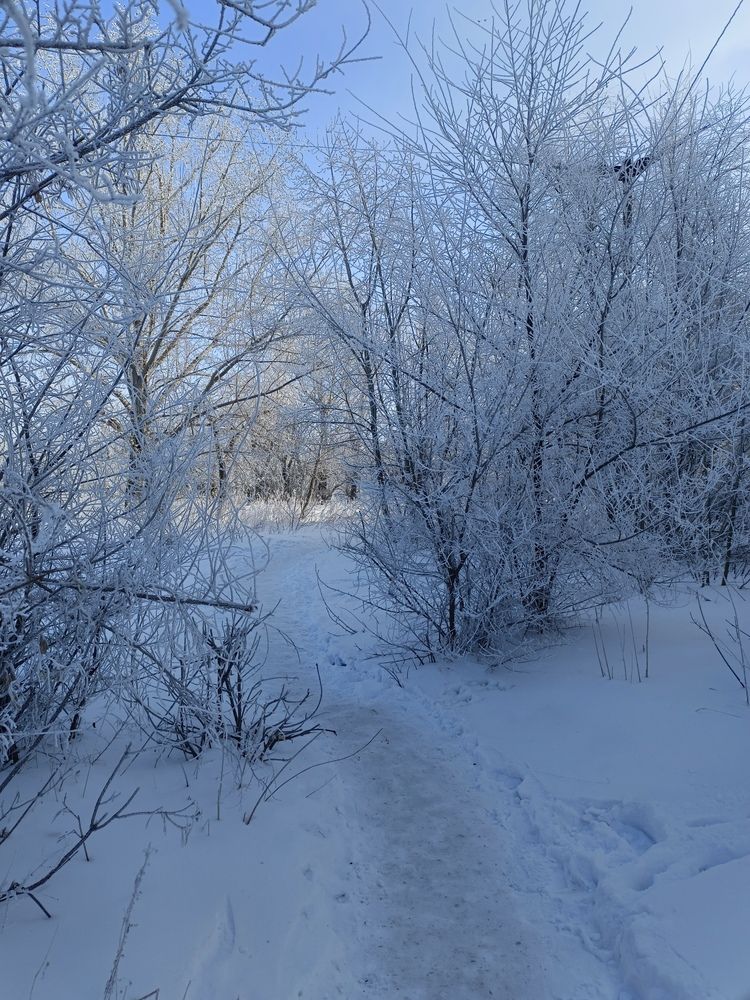 Photo #11822712