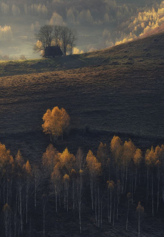 Дом пастуха