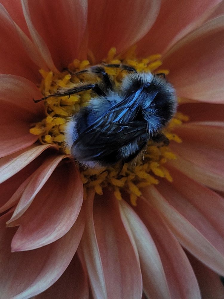 Photograph by Елена Иванова