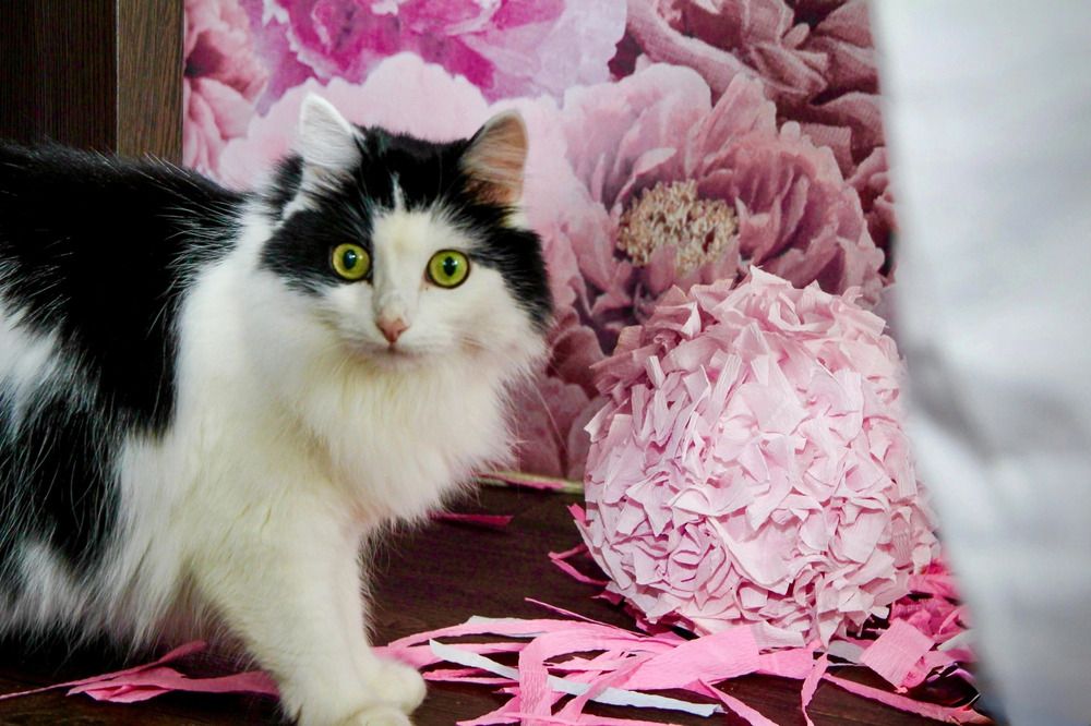 Photograph by Эльза Крюкова