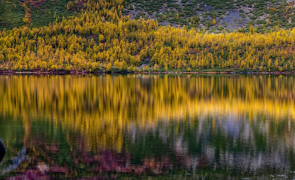 Короткая осень Колымы