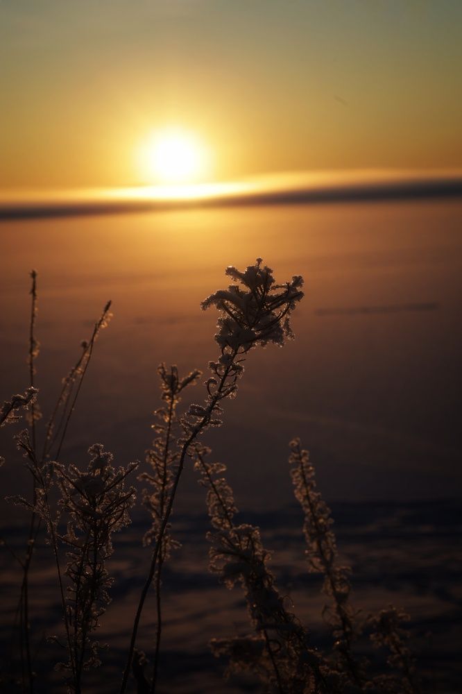 Photograph by Елена Шишкина