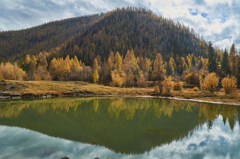 Фотография автора Сергей Королёв