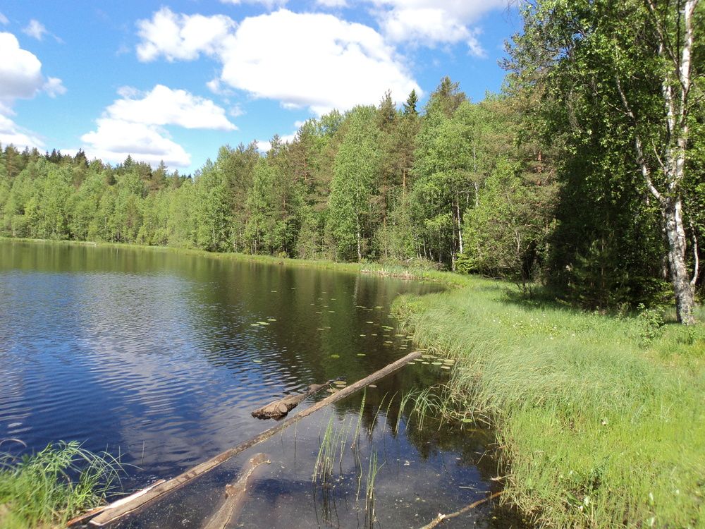 Photo #11822796