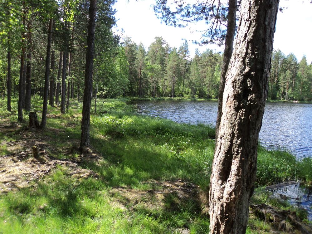 Photo #11822798