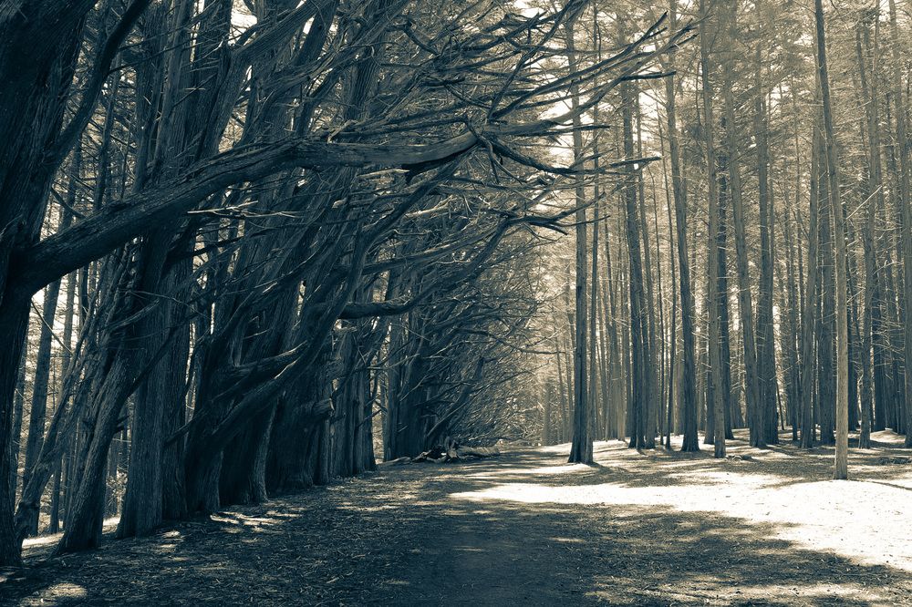 Фотография автора Andrey Pereverzev