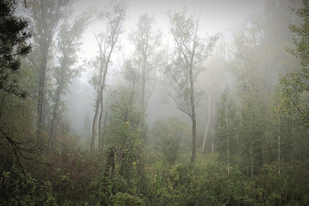 Photograph by Александр Лунин