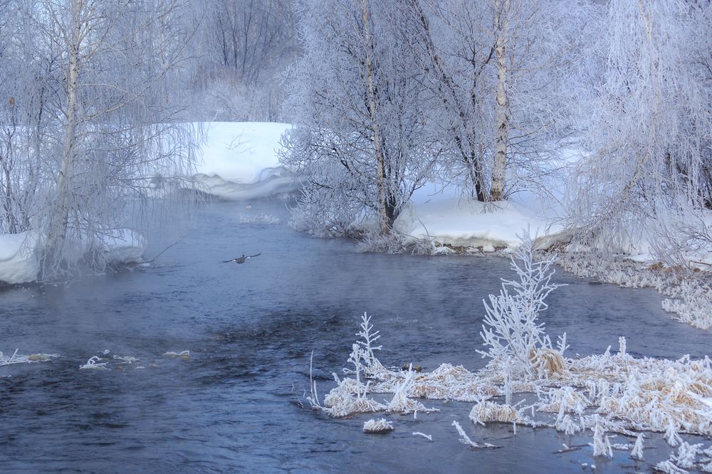 Photograph by виктор ковчин