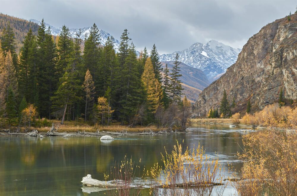 Фотография автора Сергей Королёв