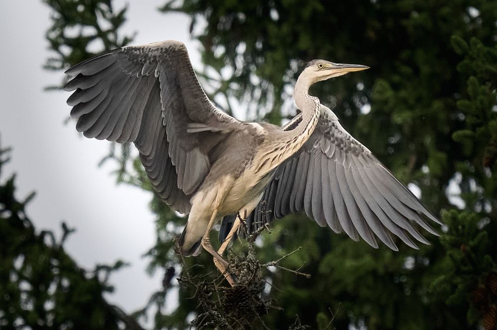 Photograph by Самосудов Рустам