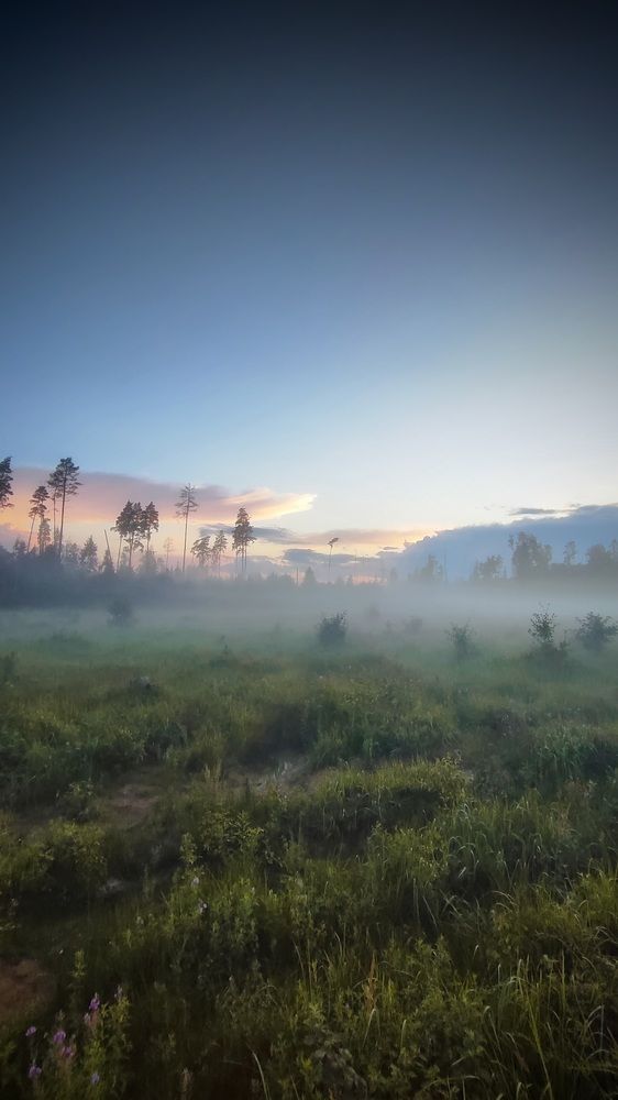 Photograph by Виктор Поздняк