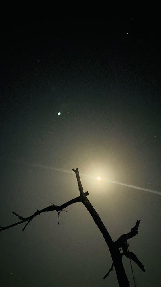 Photograph by Jennie Villaflores