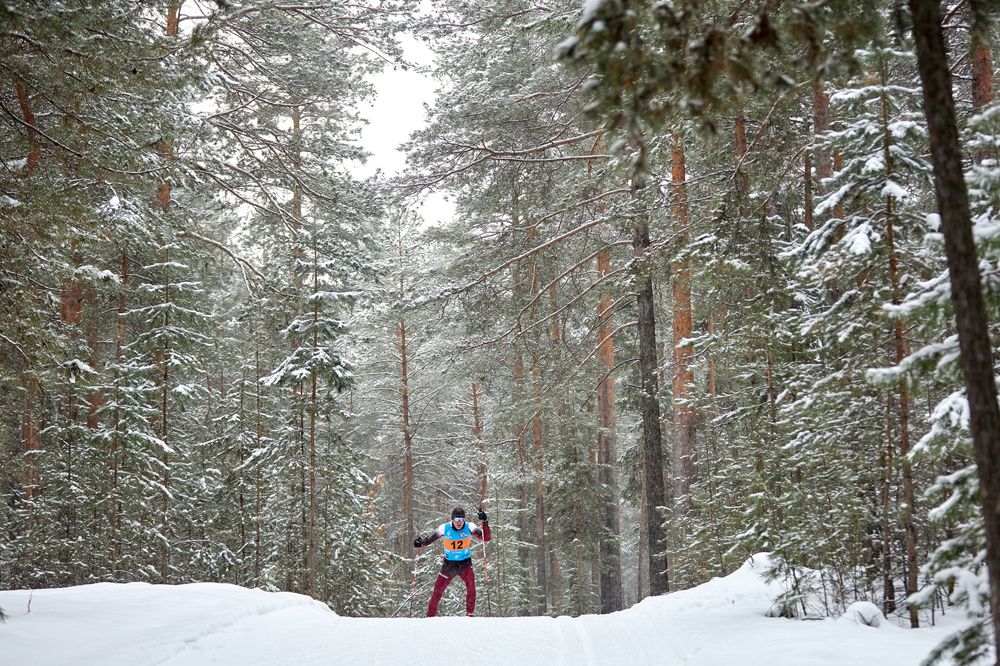 Photograph by Константин Кузнецов