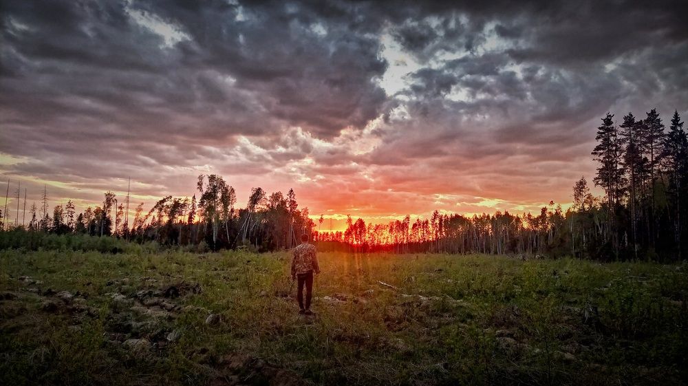 Photograph by Виктор Поздняк