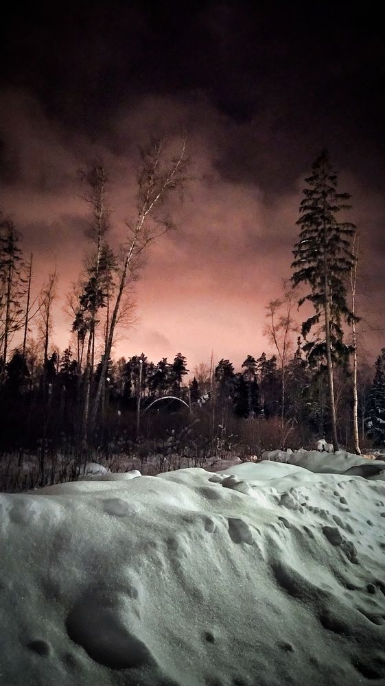 Photograph by Виктор Поздняк