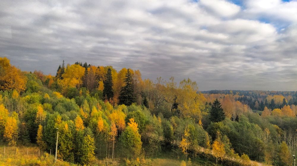 Photograph by Виктор Поздняк