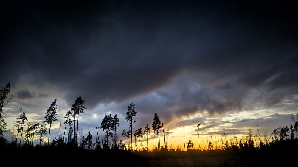 Photograph by Виктор Поздняк