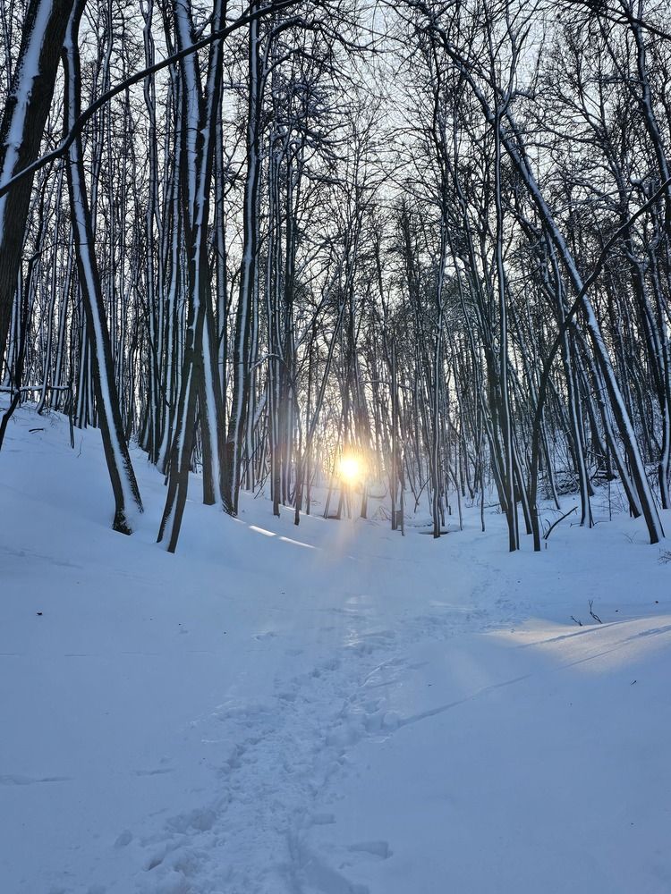 Зимняя гармония