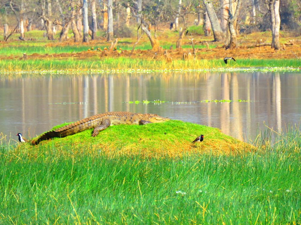 Photograph by SUCCESS LOVER