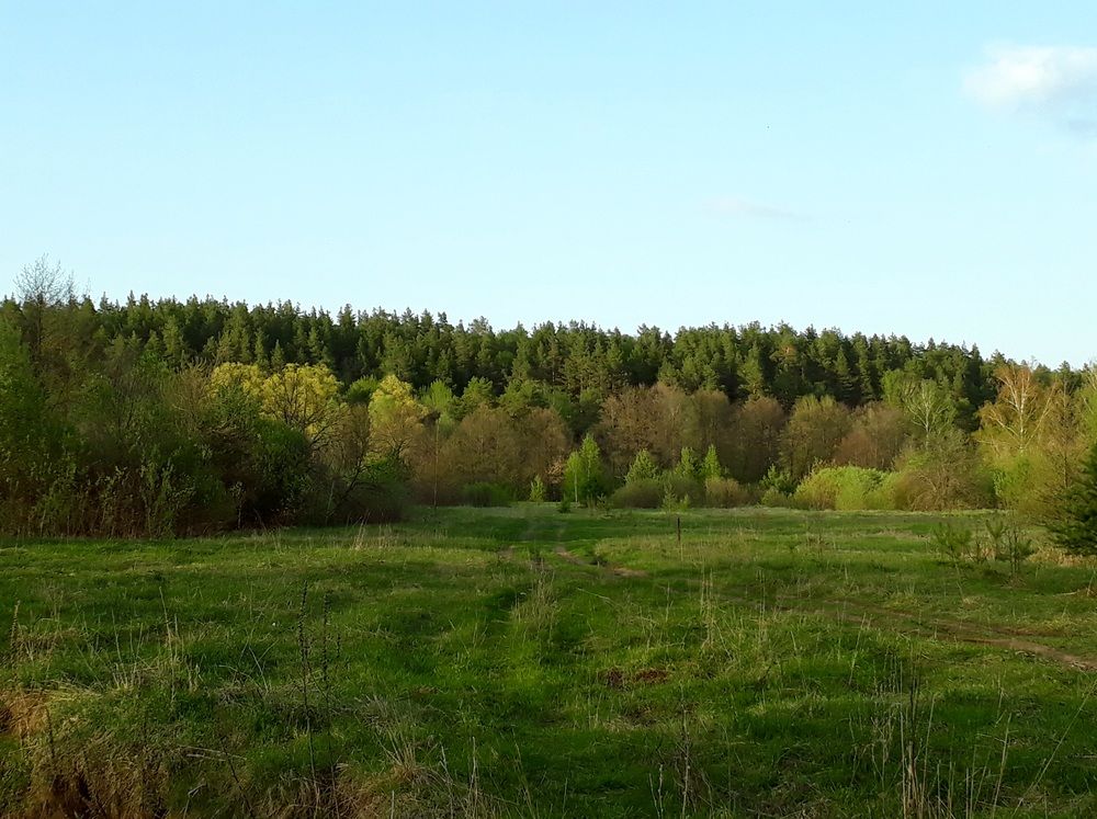 Photograph by Яна
