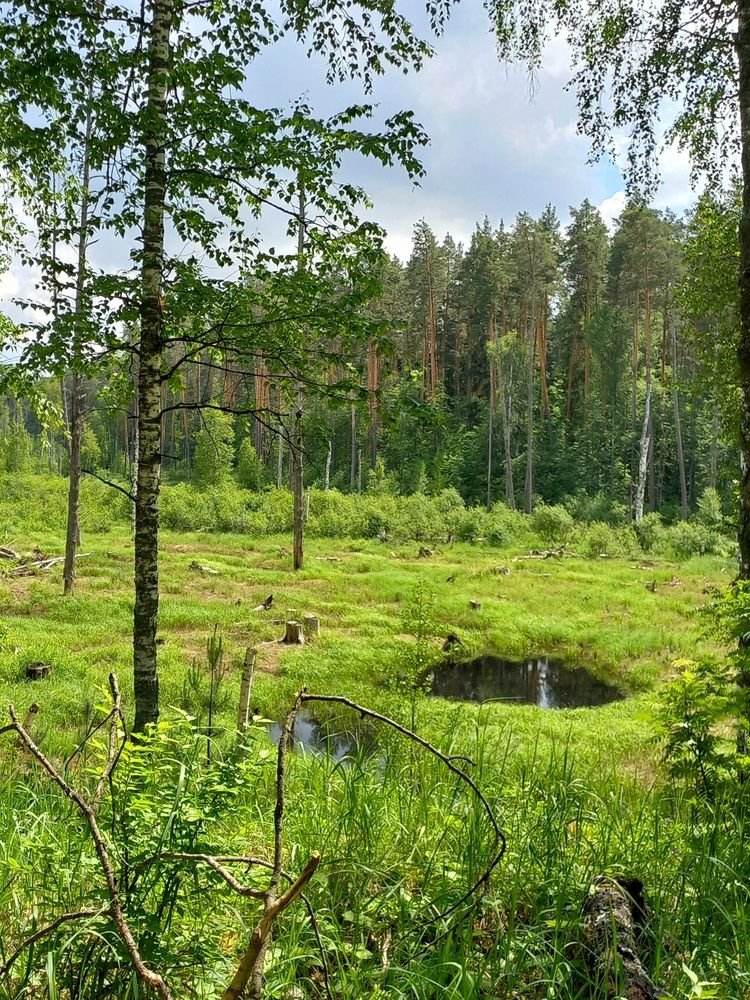 Photograph by Яна