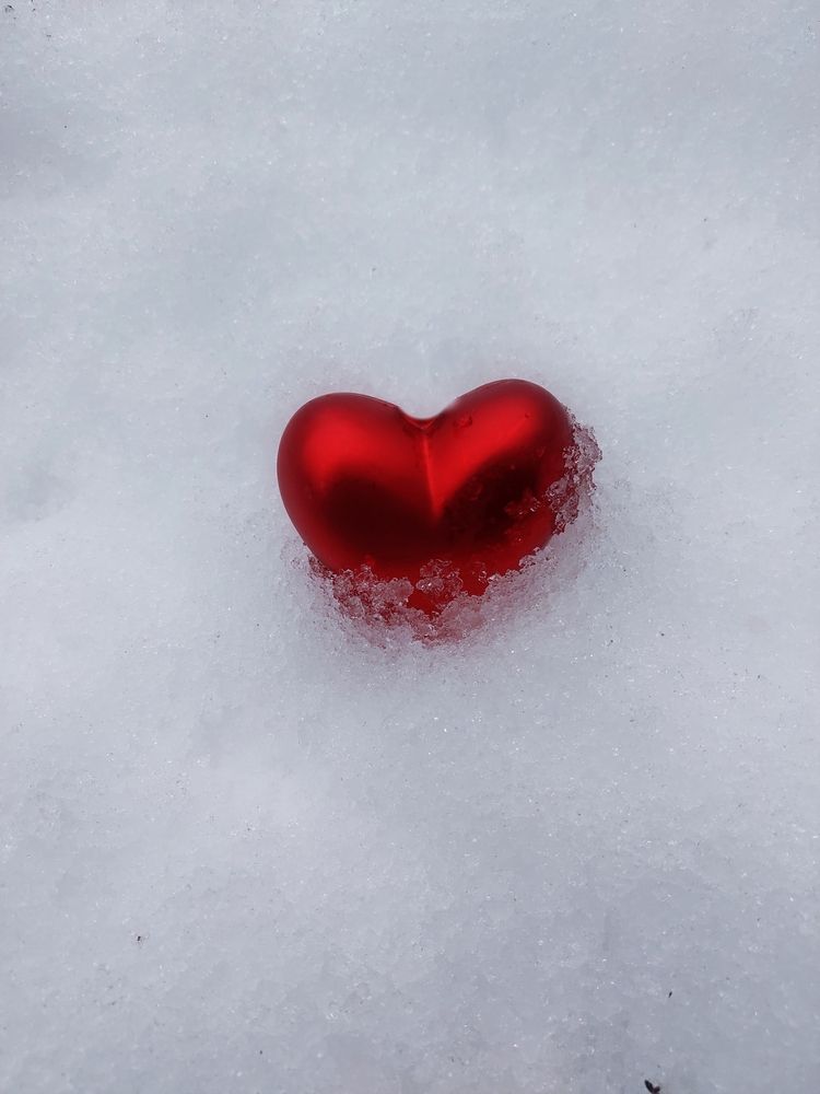 Фотография автора Светлана Дунаева